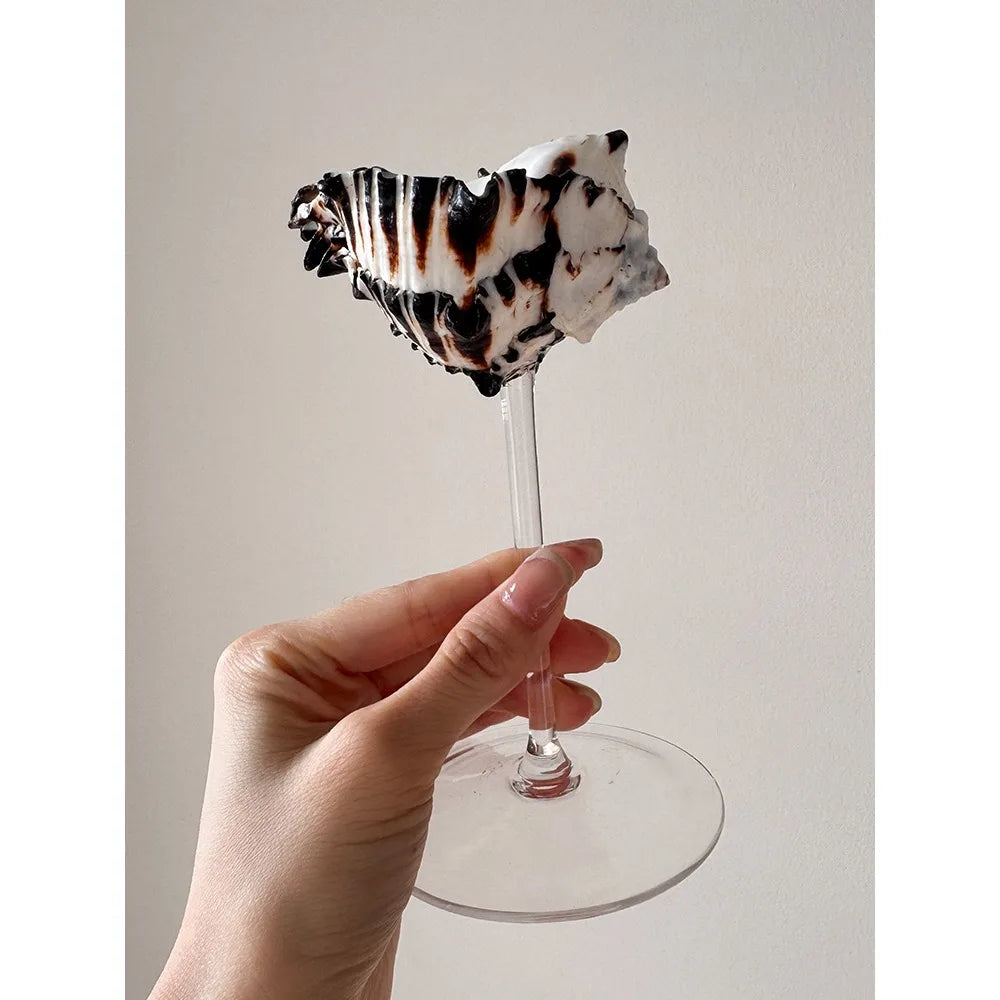 Shellborne Champagne Glasses